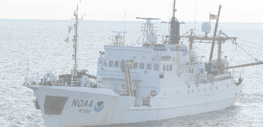 Data Collection Application Development