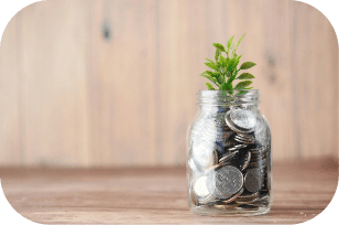 Financial Management Software